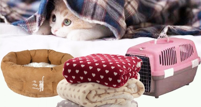 Donación de alimento y materiales para animales